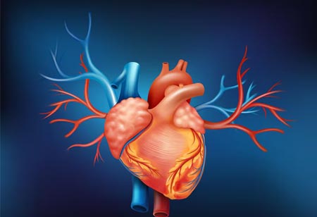 Advancements in Aortic Valve Implantation: Transforming Cardiovascular Treatment Advancements in Aortic Valve Implantation: Transforming Cardiovascular Treatment
